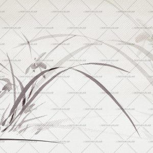 An image of a typical white watercolor paper background