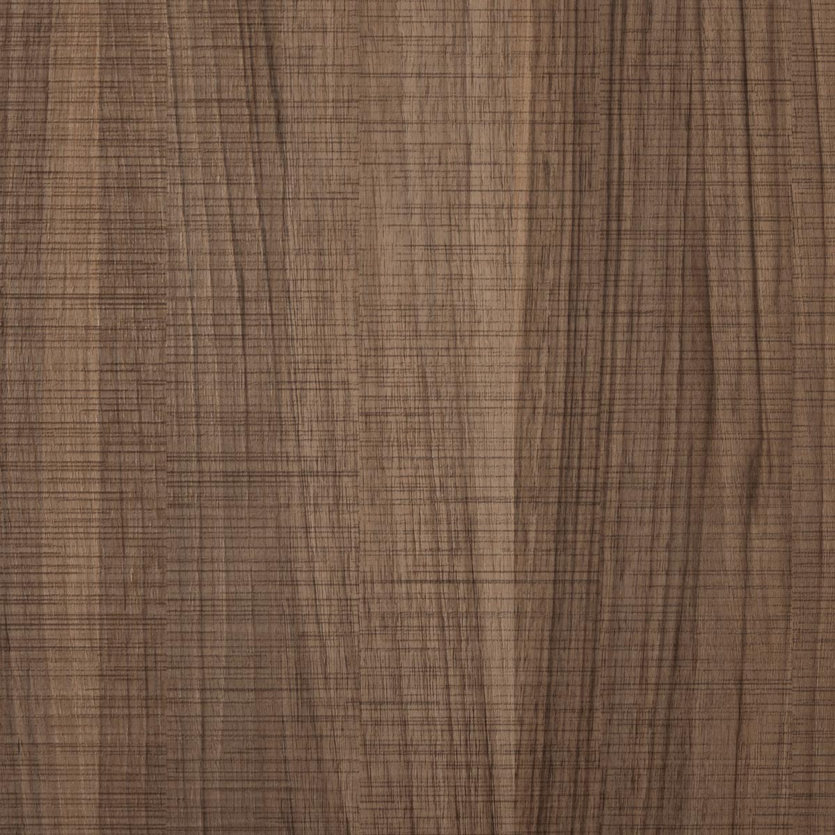 Dark Walnut parato decorativo catalogo materia e colore